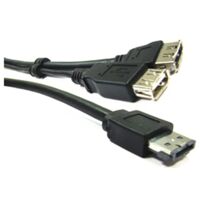 BeMatik - ESATAP câble USB ou eSATA + (M/eSATA + USB-AH-H) 1m