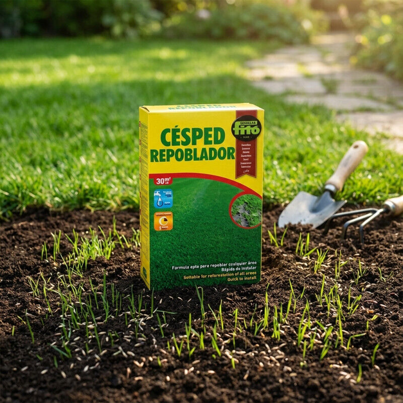 Compo Semences Gazon Repousse Express 1 Kg – Réparation Rapide Des Zones Dégarnies