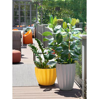 Star Grigio elefante - Ø 43 h 59 cm Vaso decorativo in polietilene originale Slide colorato giardino di design esterno interno bar ristorante hotel