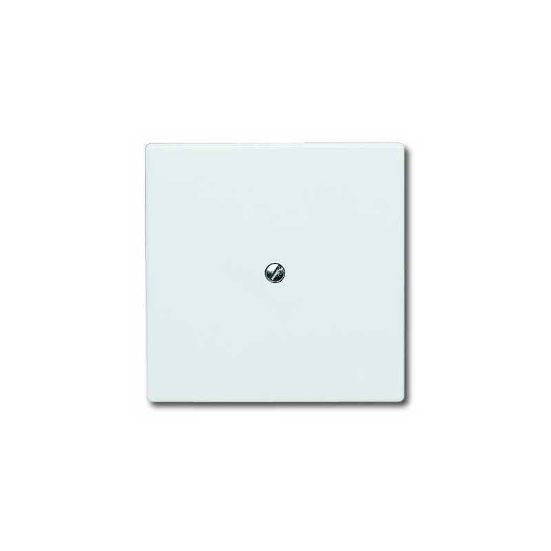 Module électronique Busch-Jaeger UW31U – Commande D'ambiance Pour Chauffage, Prise, éclairage – GSM, USB – Hauteur 450 Mm