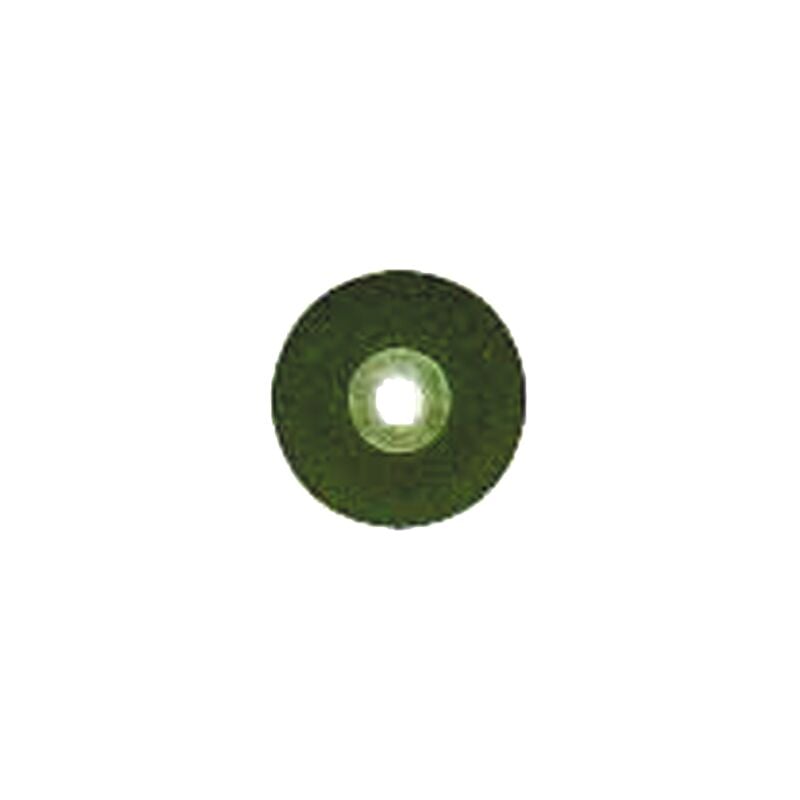 PROXXON 28590 DISQUE G100 MEULEUSE LWS