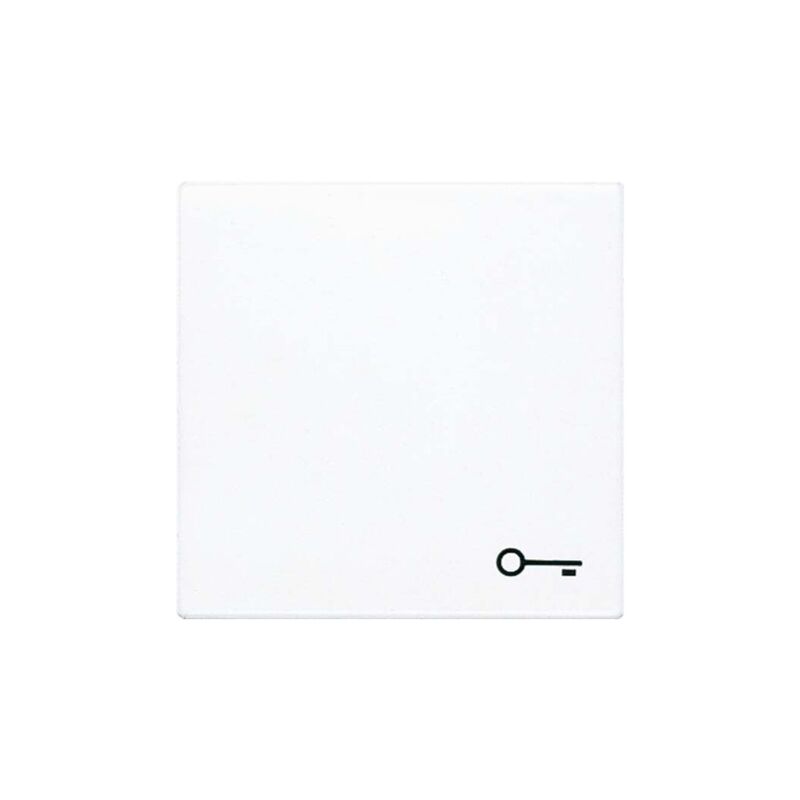 Merten Bascule Symbole Clé – Système M Blanc Polaire 435319