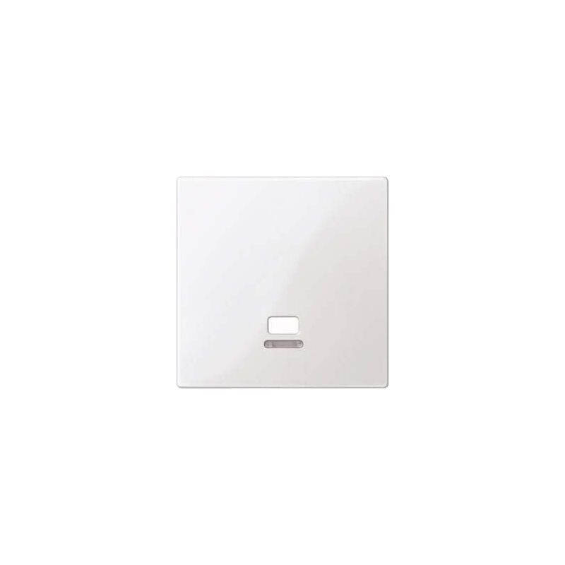 POIGNÉE PRO COSMIC INOX PLUS SUR PLAQUE AVEUGLE