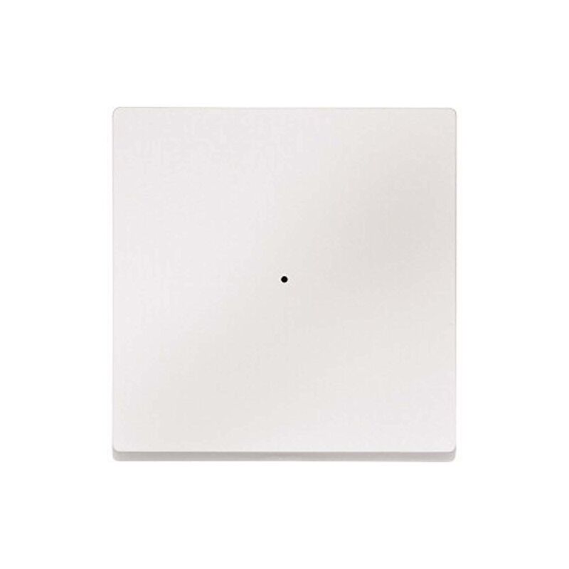Merten 412546 Double Rocker for Series Switch, Stainless Steel, System Surface A