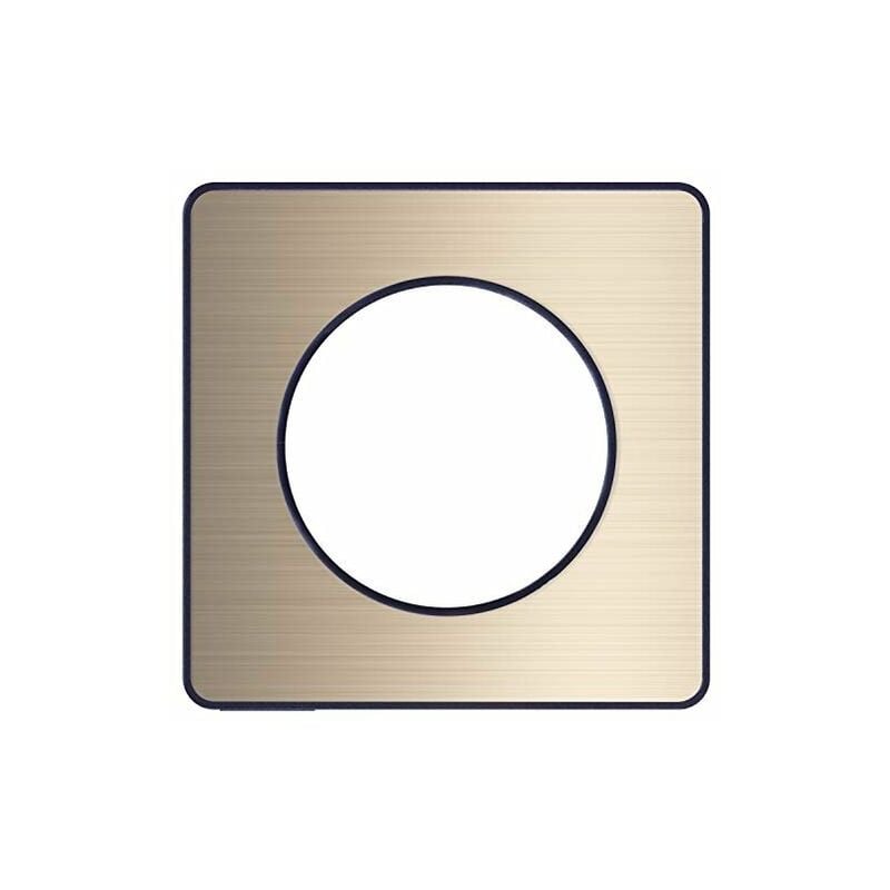 SCHNEIDER ELECTRIC S540802L ODACE TOUCH PLAQUE AVEC LISERÉ 1 POSTE, BRONZE