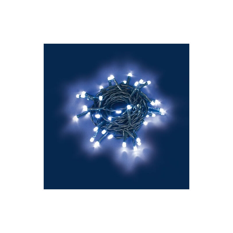 Guirlande lumineuse 10M 100 LED bleu Prolongeable câble vert 31V