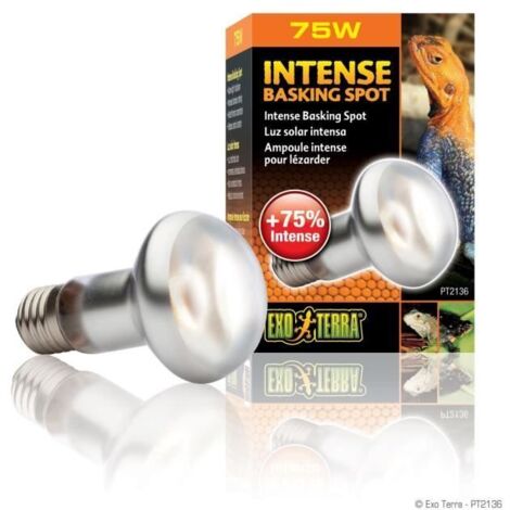 Exo lampe intense a vis 75w