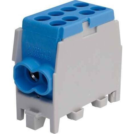 Borne de dérivation à bleu HLAK251/2 M2 – Section 2.5mm² – Configuration raccord à vis – Lot de 10 unités – Pollmann (1/2)