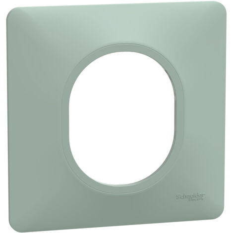 PLAQUE DE FINITION DÉCO OVALIS SCHNEIDER 1 POSTE - SAUGE 5645 SCHNEIDER ELECTRIC