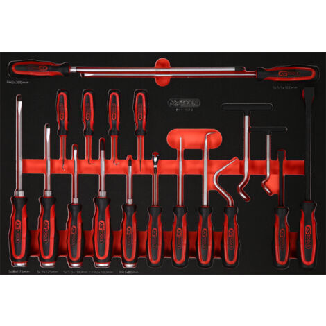 Kstools – Coffret de tournevis 19 pcs – Inserts en mousse – Résistant aux hydrocarbures – Pour environnements exigeants (1/3)