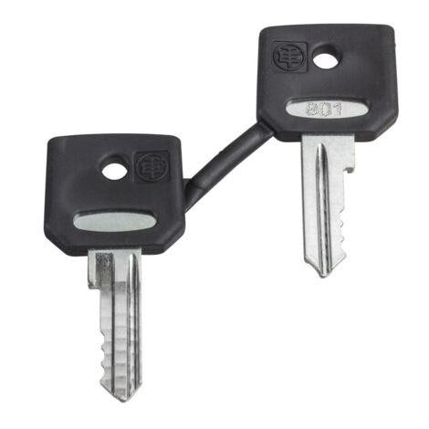 SCHNEIDER ELECTRIC ZBD8D1 CLÉ DE RECHANGE 1 PC(S)