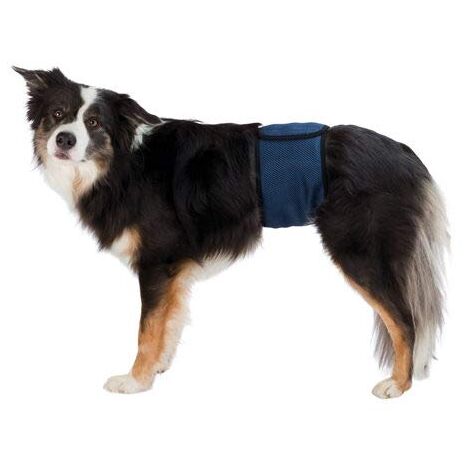 Couches pour chiens mâles, maille respirable XL: 65-75 cm, bleu foncé