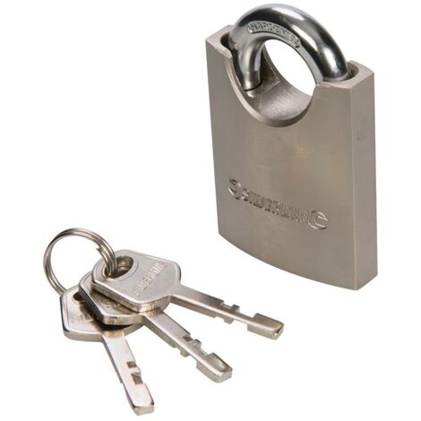 CADENAS EN ACIER À ANSE INTÉGRÉE 50 MM SILVERLINE 298532