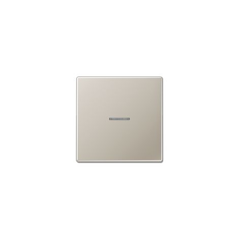 JUNG ES2990KO5 WIPPE MIT LICHTLEITER, EDELSTAHL, LS990 (1/2)