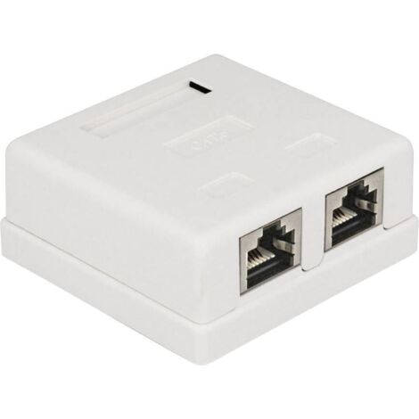 Prise réseau encastré insert avec plaque centrale et châssis CAT 6 2 ports Delock 86269 blanc A069111 (1/3)