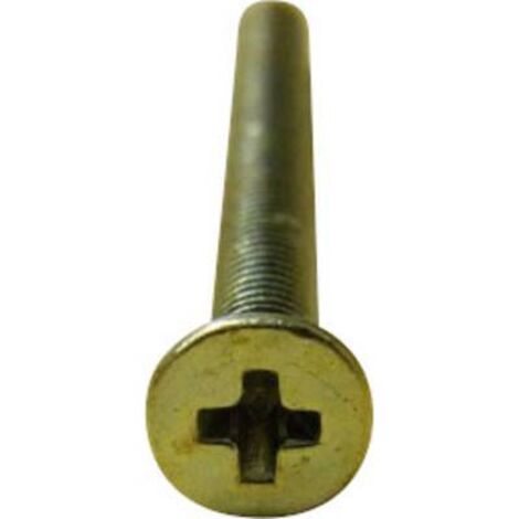 VIS À TÊTE FRAISÉE TOOLCRAFT 188831 M46 D965-4.8-A2K 100 PC(S) M4 6 MM TÊTE FRAISÉE CRUCIFORME ACIER (1/3)