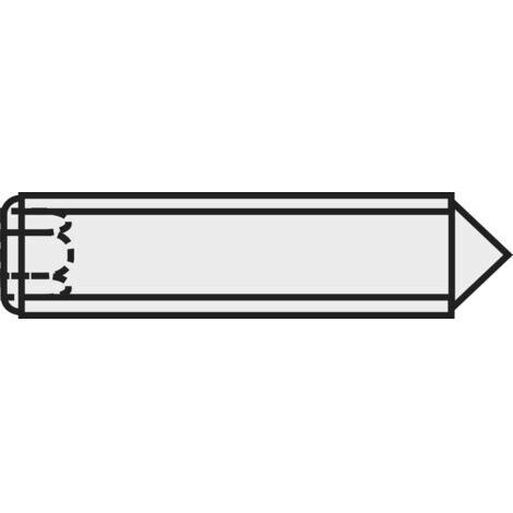 TOOLCRAFT 827334 VIS SANS TÊTE M3 5 MM ACIER 20 PC(S) (1/4)