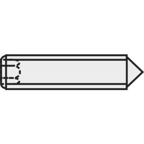 TOOLCRAFT 827351 Vis sans tête M5 10 mm acier 20 pc(s) C54239 (1/2)