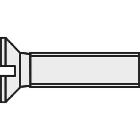VIS À TÊTE FRAISÉE TOOLCRAFT 839954 10 PC(S) M3 16 MM TÊTE FRAISÉE PLAT PLASTIQUE, POLYAMIDE DIN 963 (1/2)