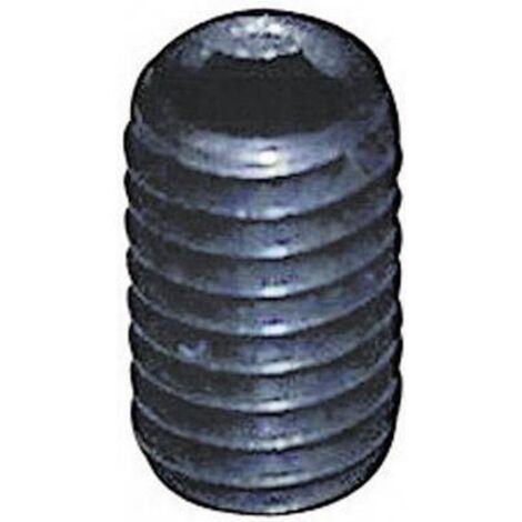 TOOLCRAFT 886282 Vis sans tête M3 8 mm acier 20 pc(s) C68565 (1/2)