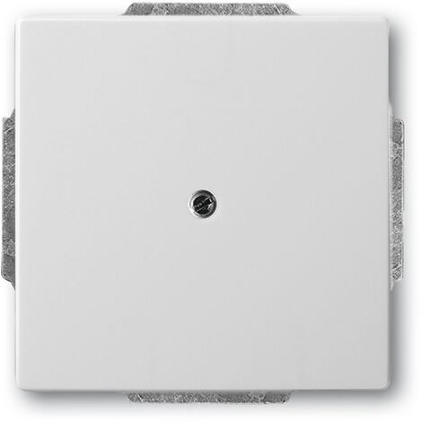BUSCH-JAEGER 1742-866 FAUSSE PLAQUE CENTRALE, ACIER INOXYDABLE, PUR (1/2)