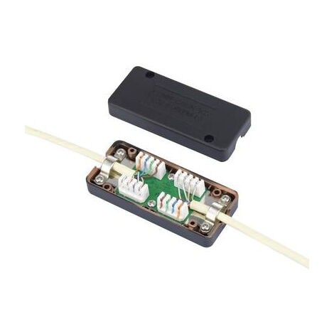 Boîtier de connexion Renkforce Adapté pour (spécifications réseau (CAT)): CAT 6a W717851