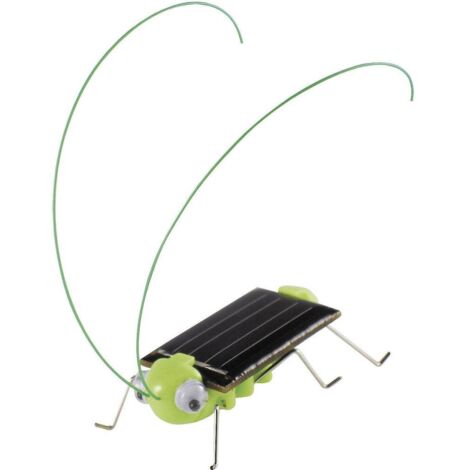 GRILLON SOLAIRE SOL EXPERT 46125 (1/2)