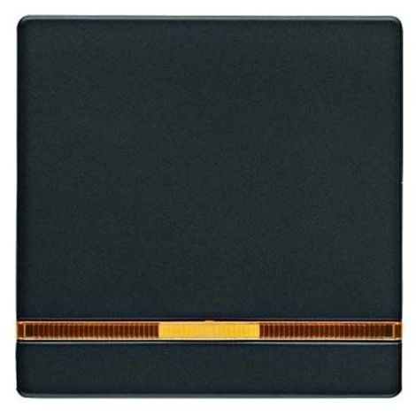 HAGER 16216086 PRISE DE COURANT ANTHRACITE BERKER (1/3)