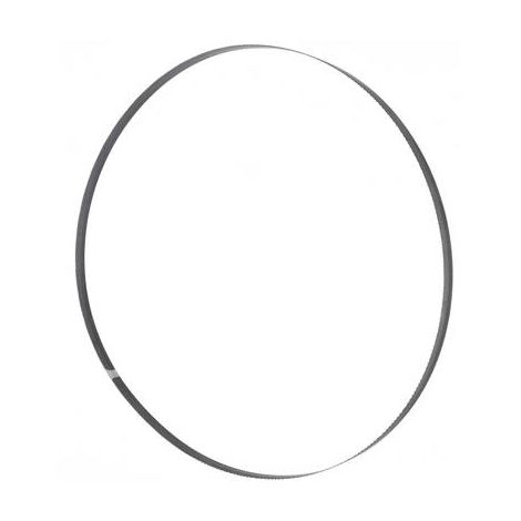 RUBAN DE SCIE HSS 1638X1 3X0,65MM 14 ZPZ HOLZMANN MASCHINEN BS115128HSS14 LAME DE SCIE (1/3)