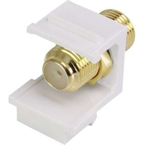 MODULE ENCASTRABLE F KEYSTONE RENKFORCE RF-3434010 1 PC(S) (1/3)