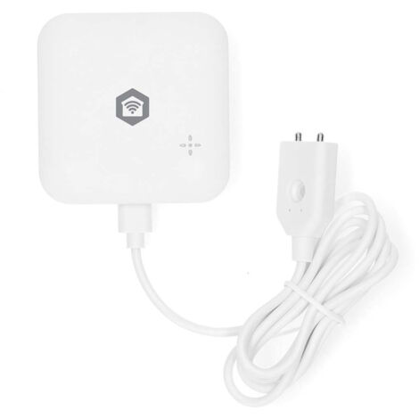 SMARTLIFE DÉTECTEUR D'EAU WI-FI ALIMENTÉ PAR PILE EXTENSION INCLUSE DURÉE DE VIE MAX. D'UNE PILE: 24 MOIS 80 DB BLAN