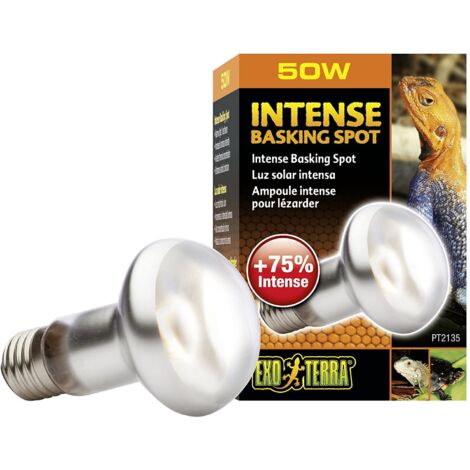Exo lampe intense a vis 100w