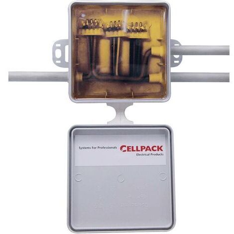 CELLPACK 362412 ARMOIRE ÉLECTRIQUE 362412 420083 (1/4)