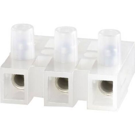BORNIER DOMINO ADELS-CONTACT 160 BU/3 DS 151563 FLEXIBLE: -2.5 MM² RIGIDE: -2.5 MM² NOMBRE DE PÔLES: 3 1 PC(S) UNBEKANNT (1/3)