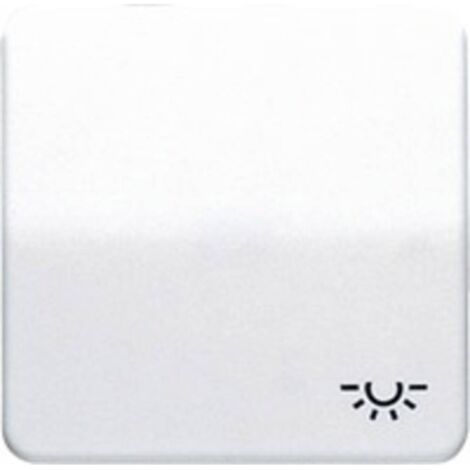 Jung CD500 - Élément de commande/Interrupteur à Plaque centrale - CD590WW