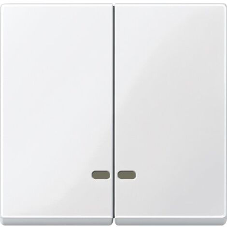 Merten 412546 Wippe für Serienschalter, Edelstahl, System Fläche