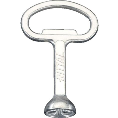 CLÉ POUR ARMOIRES DE DISTRIBUTION PANNETON DOUBLE RITTAL 2549.600 ACIER 1 PC(S) (1/2)