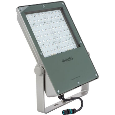 Philips – Projecteur LED 217W gris – 26000 lm blanc neutre – IP66 pour extérieur – 80 ampoules – Aluminium et PMMA (1/4)