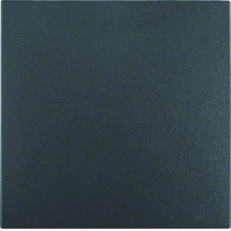 BERKER 16201606 WIPPE B.1/B.3/B.7 GLAS ANTHRAZIT, MATT (1/5)