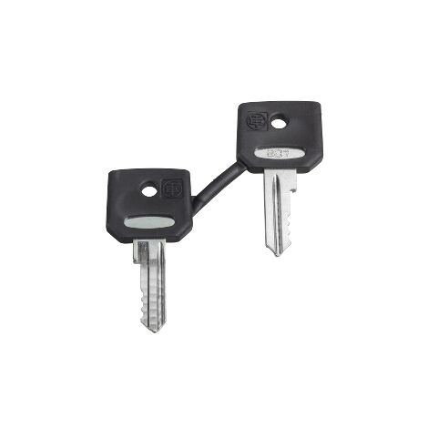 SCHNEIDER ELECTRIC ZBG421E DE REMPLACEMENT TOUCHES, LOT DE CLÉS N 421E