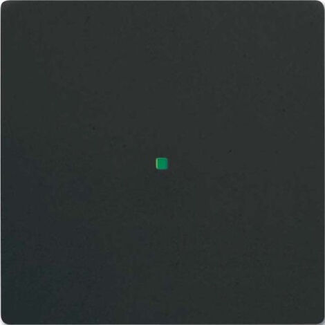 Busch-Jaeger Wippe aws mit Symbol Licht 2520 LI-214