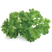 EMSA CLICK & GROW PERSIL (M5261000) CLICK AND GROW