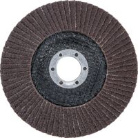 BGS Disque abrasif en éventail Ø 125 mm K 80 - 3976