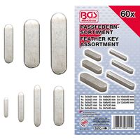 BGS PLUMES DE PASSE ASSORTIMENT 60 PIÈCES, BGS 8141