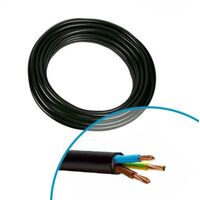 Nexans – Câble électrique R02V 3G6² 3 conducteurs 6mm² – Couronne 25m – Double isolation PVC – 10262671