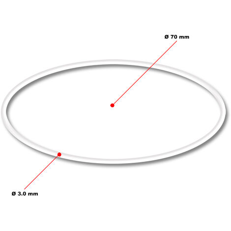 Sunsun Cpf Serie Ersatzteil Fixierung F R O Ring Dichtung