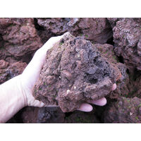 Lapillo vulcanico rosso, lava vulcanica 100/200 mm (n° 1 ciottolo per acquari)