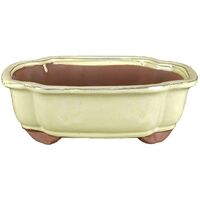 Vaso per bonsai ovale (forma mokko) in gres smaltato bianco 28x21x6,5 cm - GA8
