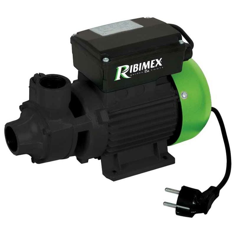 Pompa travaso gasolio Ribimex PRPC115