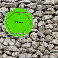 Grillage de clôture | Galvanisé | Maille hexagonale 13 mm | HxL 0,5 x 10 m | Certeo - Galvanisé